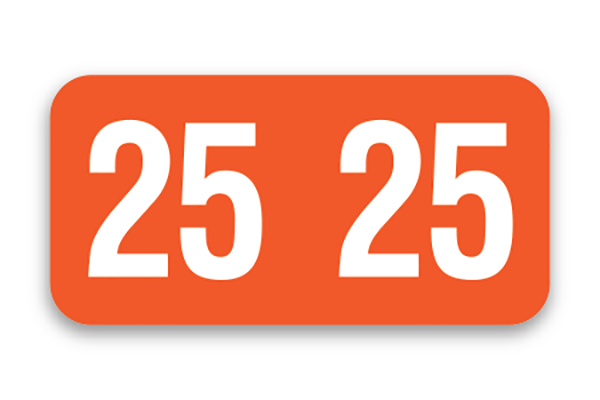 FILE RIGHT Service File Year Labels (Ringbook)