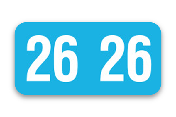 FILE RIGHT Service File Year Labels (Ringbook)