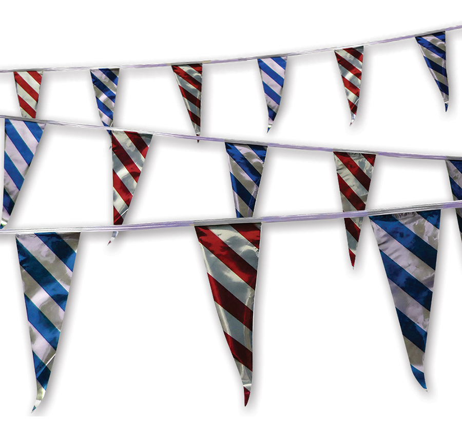 Metallic Triangle Pennants
