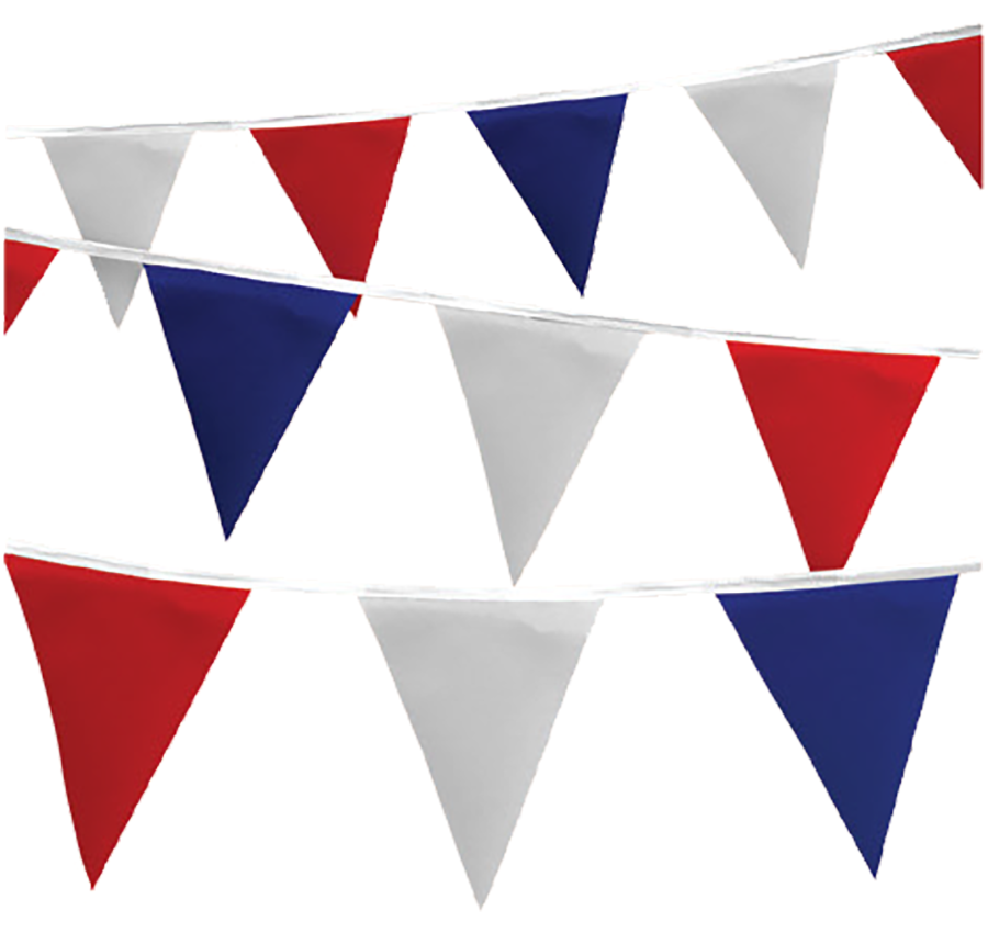 Fluorescent Triangle Pennants