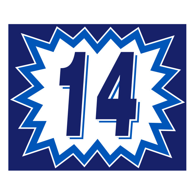 Blast Year Decals - White/Blue