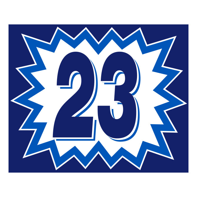 Blast Year Decals - White/Blue