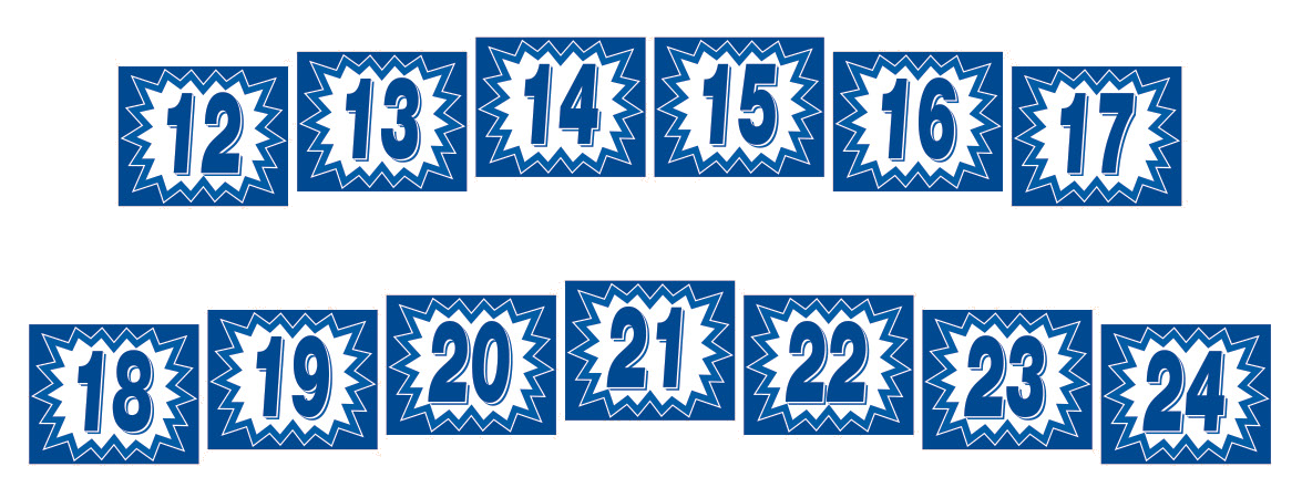 Blast Year Decals - White/Blue