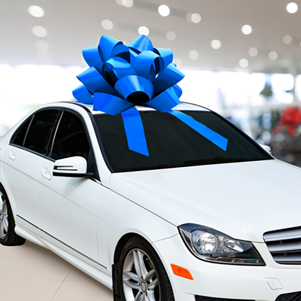 50" Commercial Car Bow