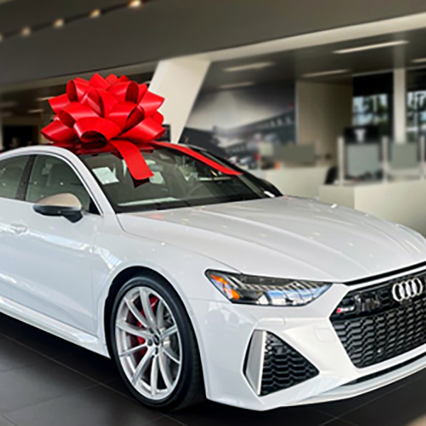 50" Commercial Car Bow