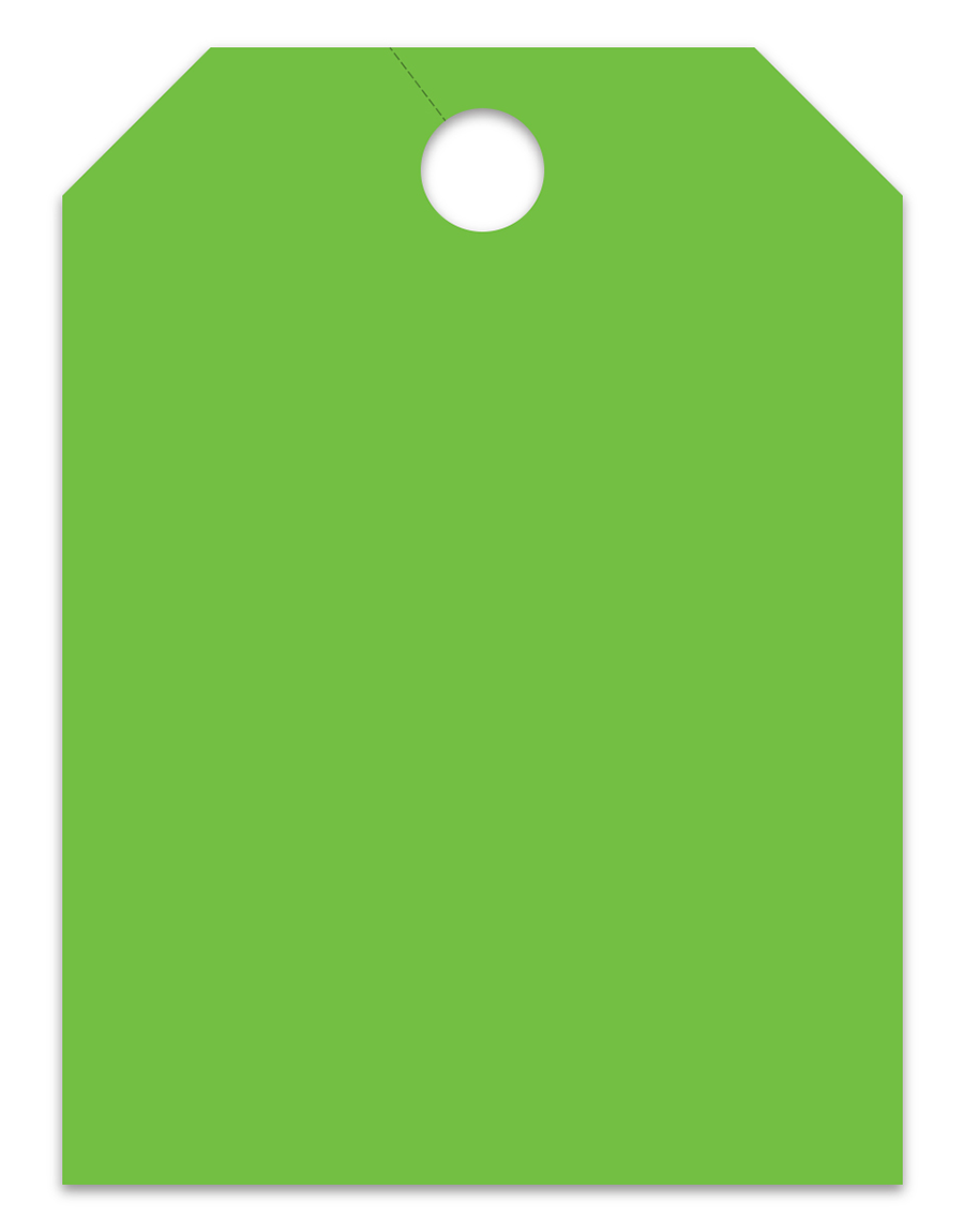 Large Fluorescent Mirror Hang Tags - Blank