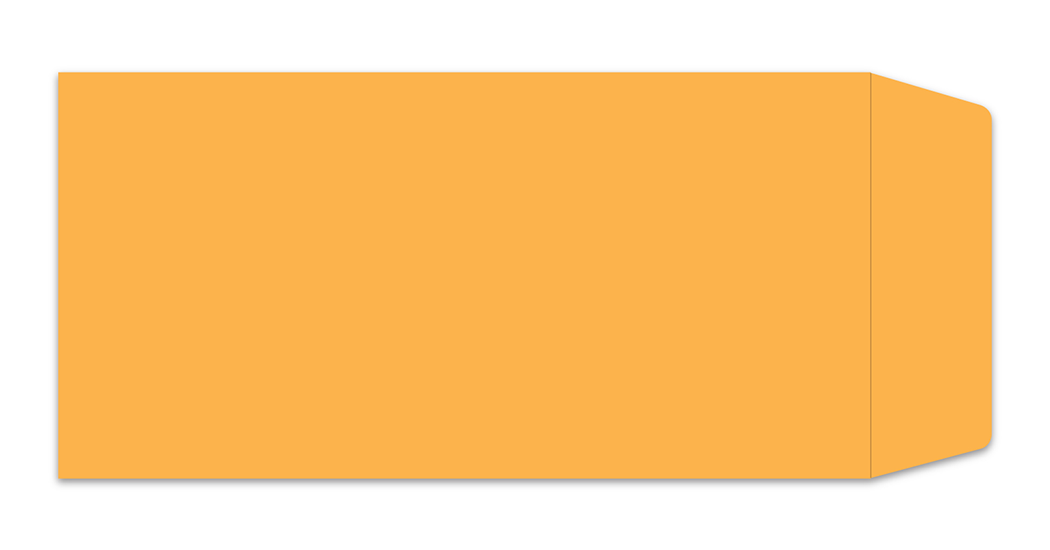 Plain License Plate Envelopes (LPEV-1) - Moist & Seal