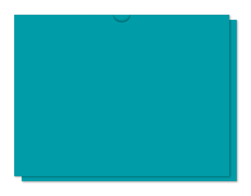 Blank Vehicle Deal Jackets (DSA-500) (100/Pack)