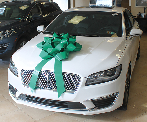 28" Big Gift Vinyl Car Bow