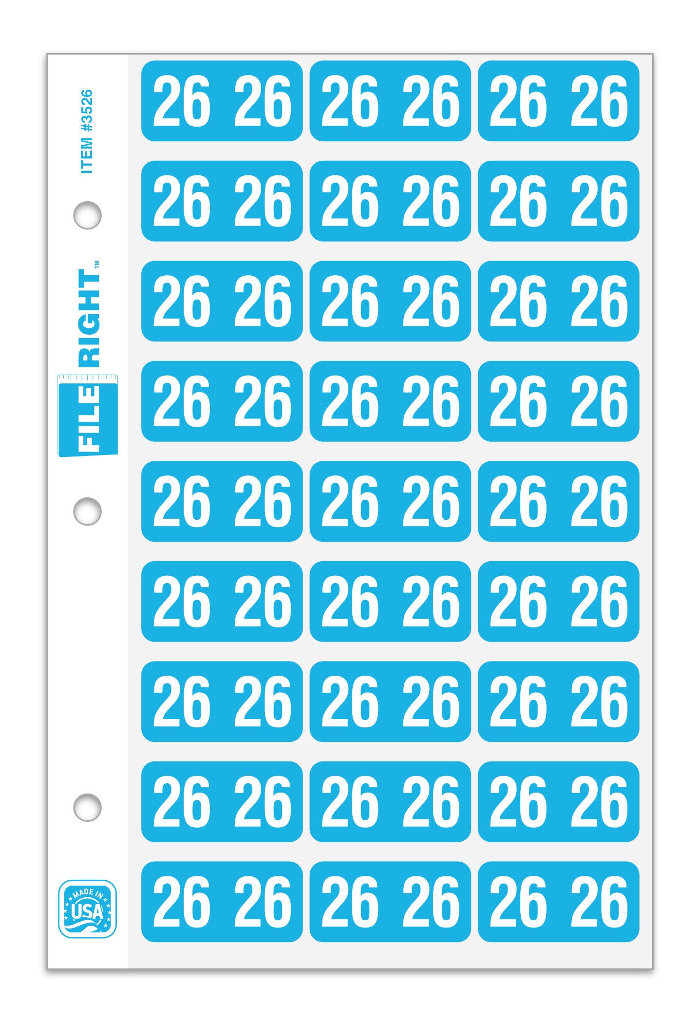 FILE RIGHT Service File Year Labels (Ringbook)