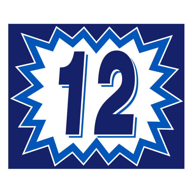 Blast Year Decals - White/Blue