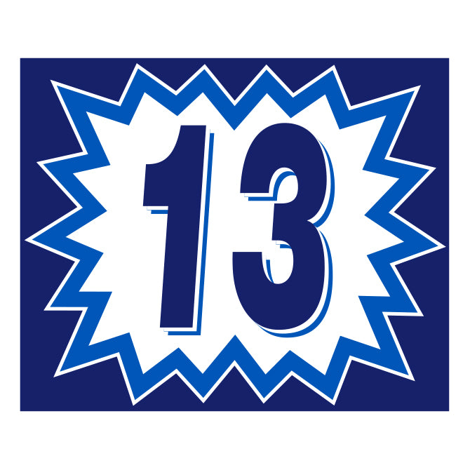 Blast Year Decals - White/Blue