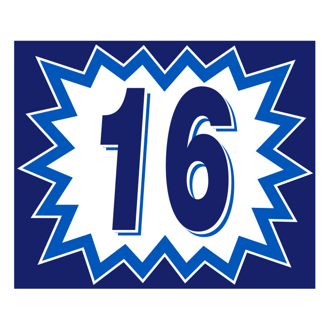 Blast Year Decals - White/Blue