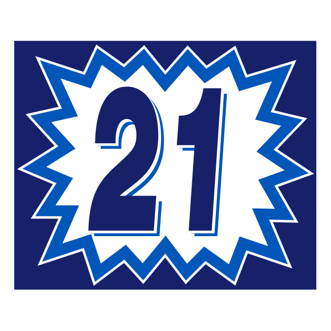 Blast Year Decals - White/Blue
