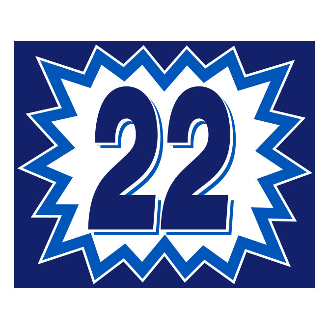 Blast Year Decals - White/Blue