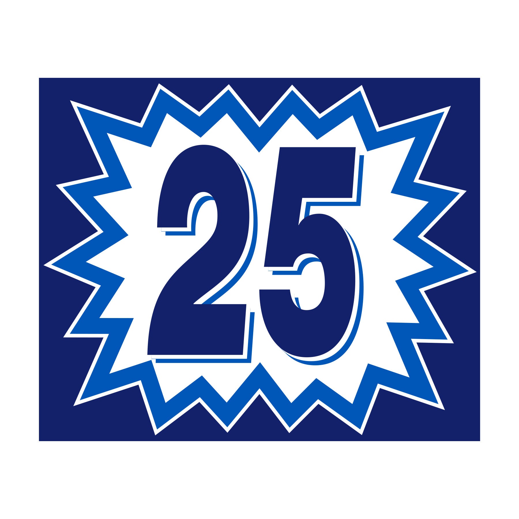 Blast Year Decals - White/Blue