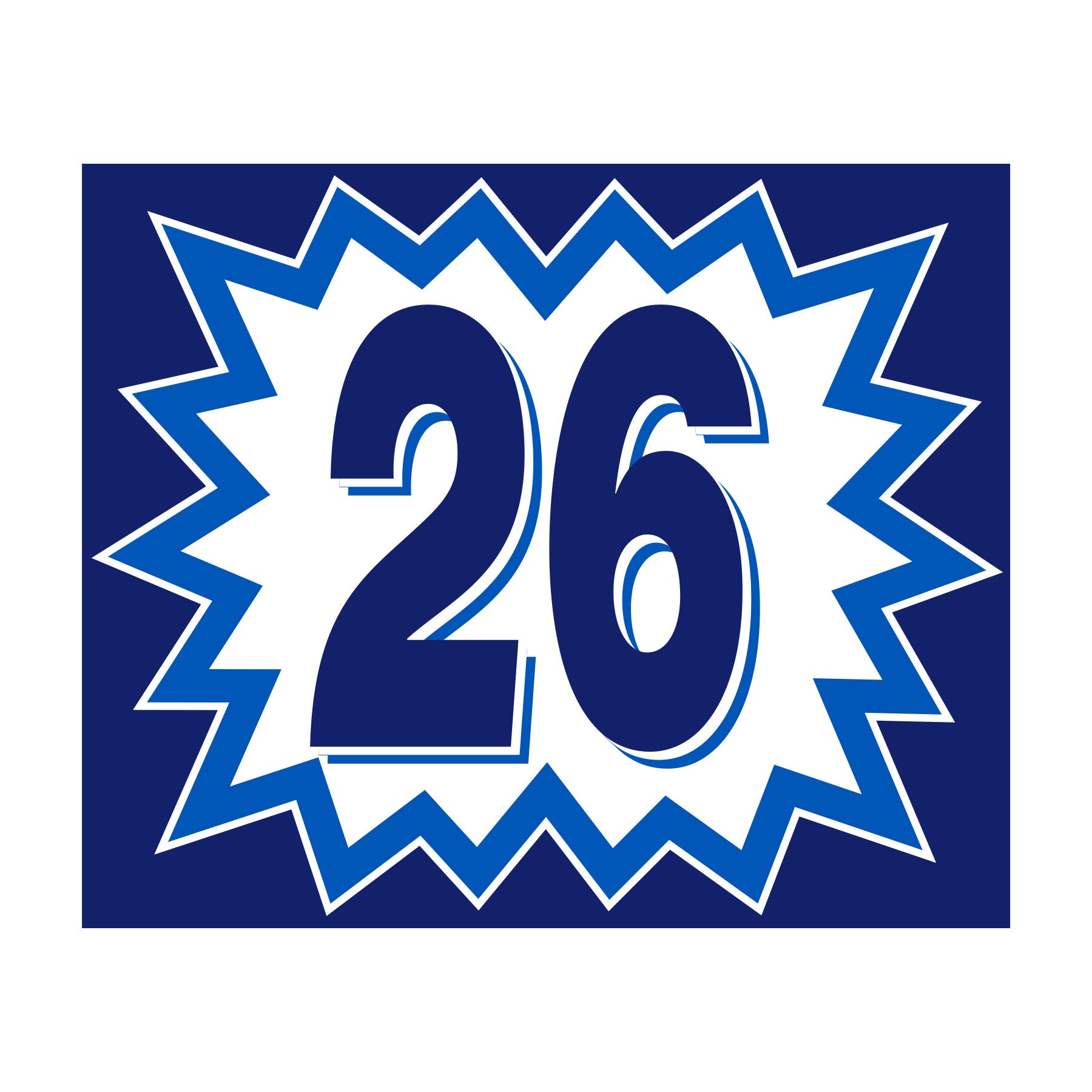 Blast Year Decals - White/Blue