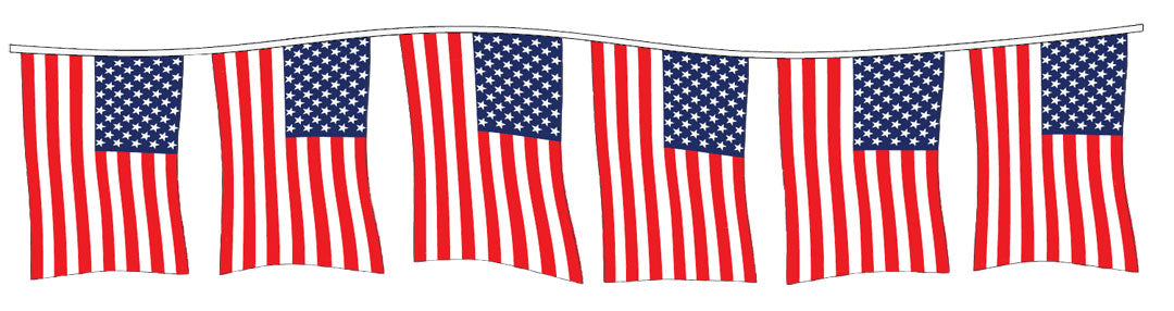 American Flag Pennants - 4mil Polyethylene