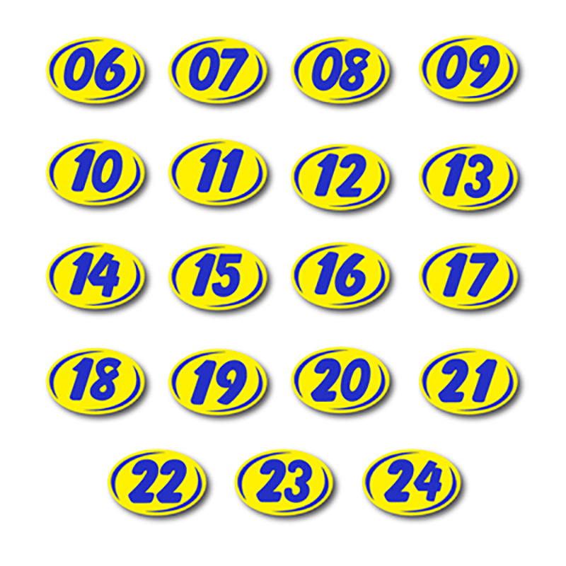 Bold Year Model Decals - Yellow/Blue