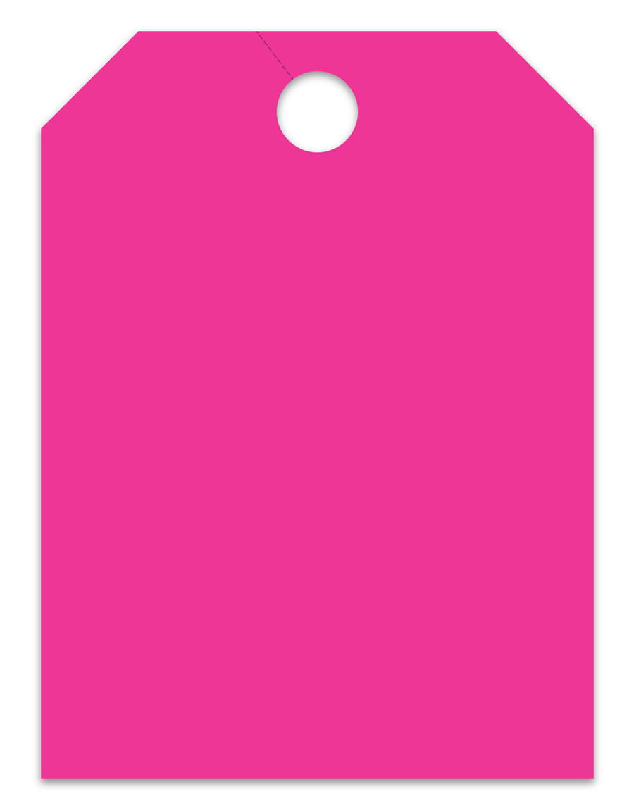 Large Fluorescent Hang Tags - Blank