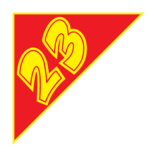 Angle Year Decals - Yellow/Red