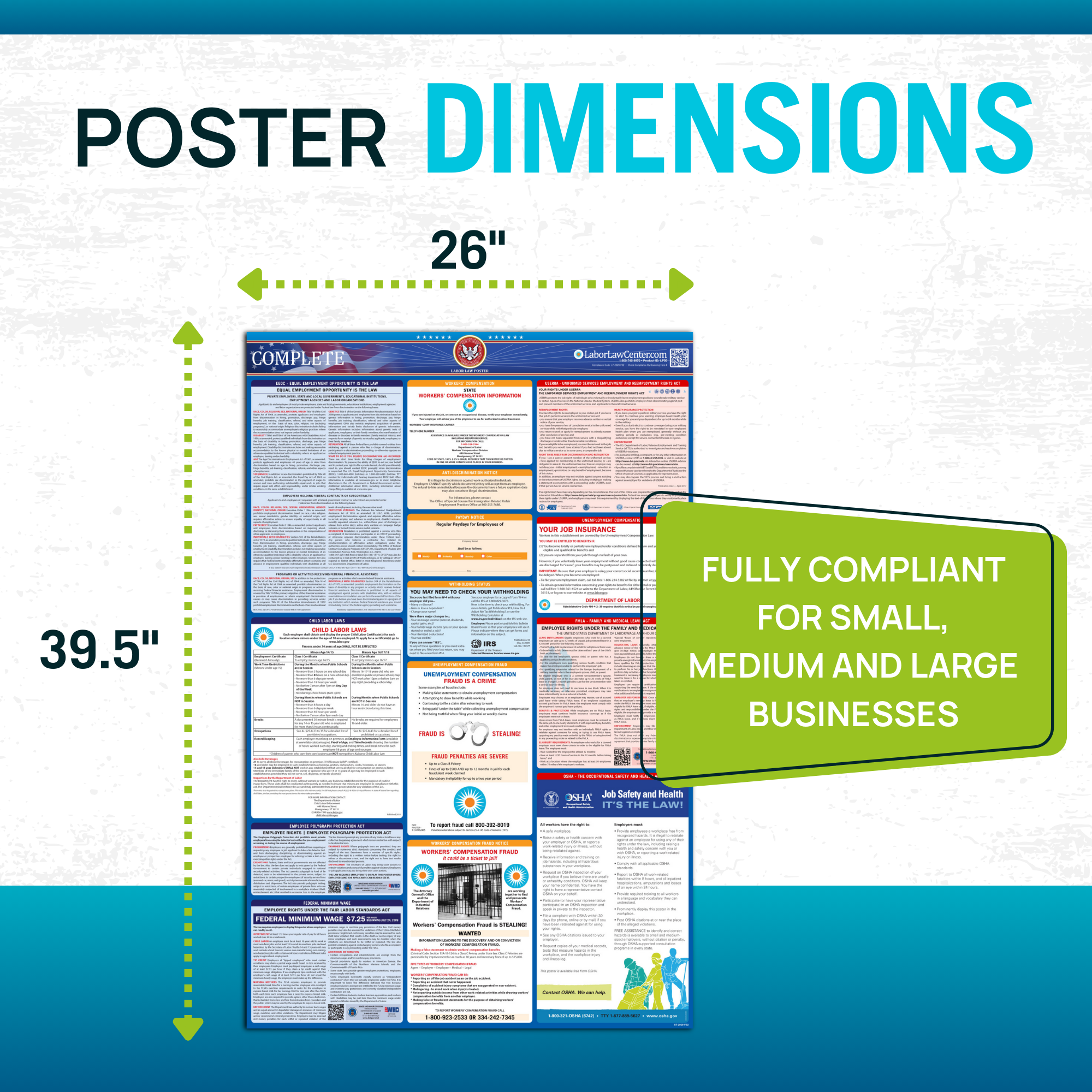 Federal & State Labor Law Poster 2026 - Massachusetts