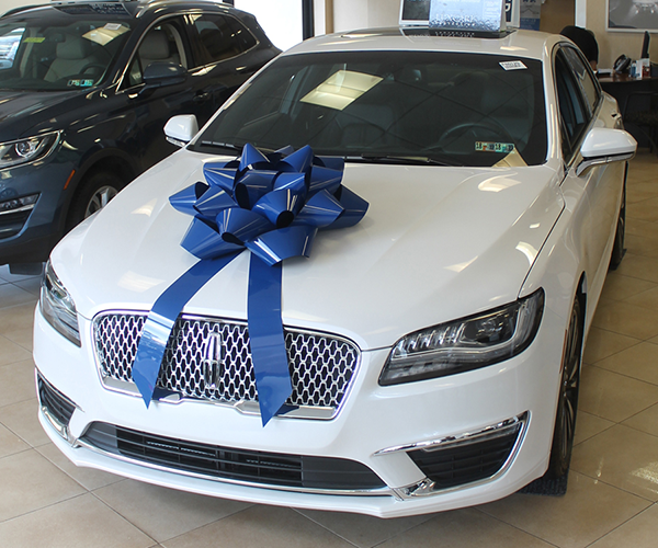 28" Big Gift Vinyl Car Bow